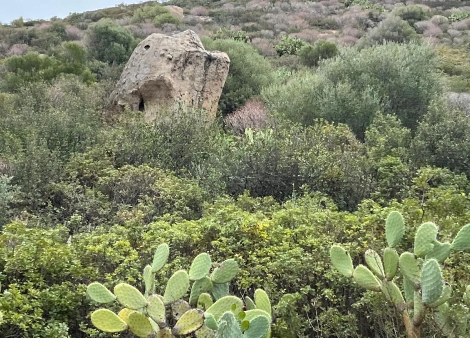 Nyaraló Villa Rosa Mari Marongiu